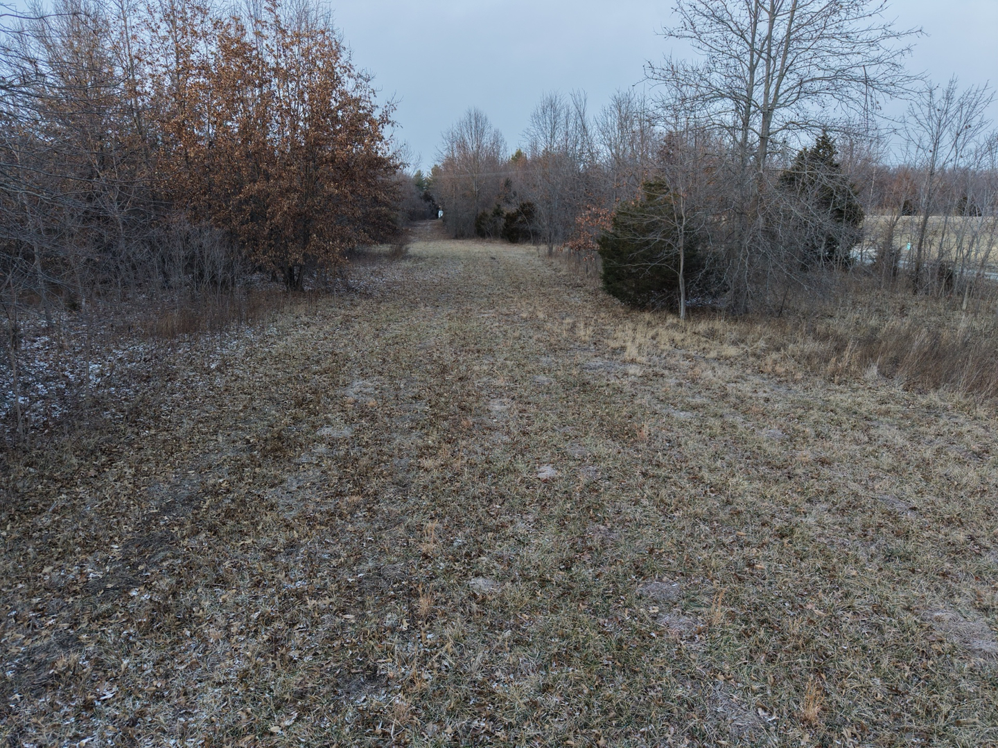 2878 Lazy Acre Road Odin, IL 62870 - Photo 8 of 33