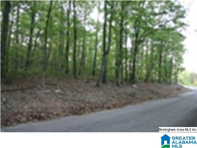 Hilltop Road Oneonta, AL 35121 - Photo 2 of 3