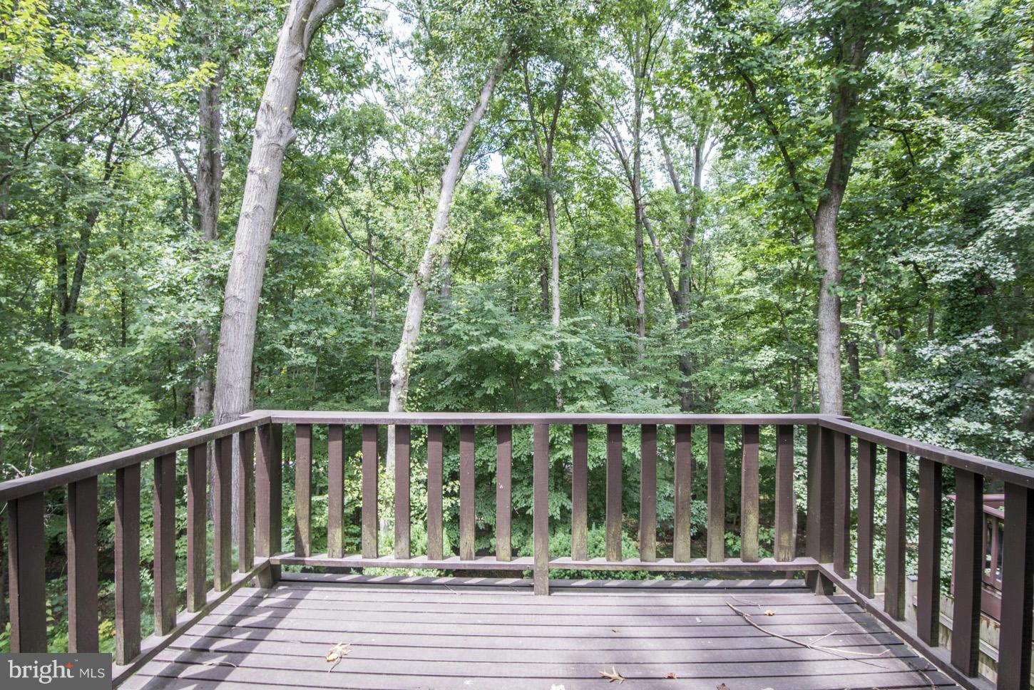 7903 Inverness Ridge Road Rockville, MD 20854 - Photo 24 of 29 View