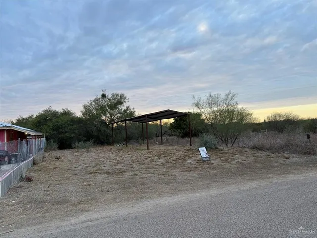 a view of a dry yard with trees