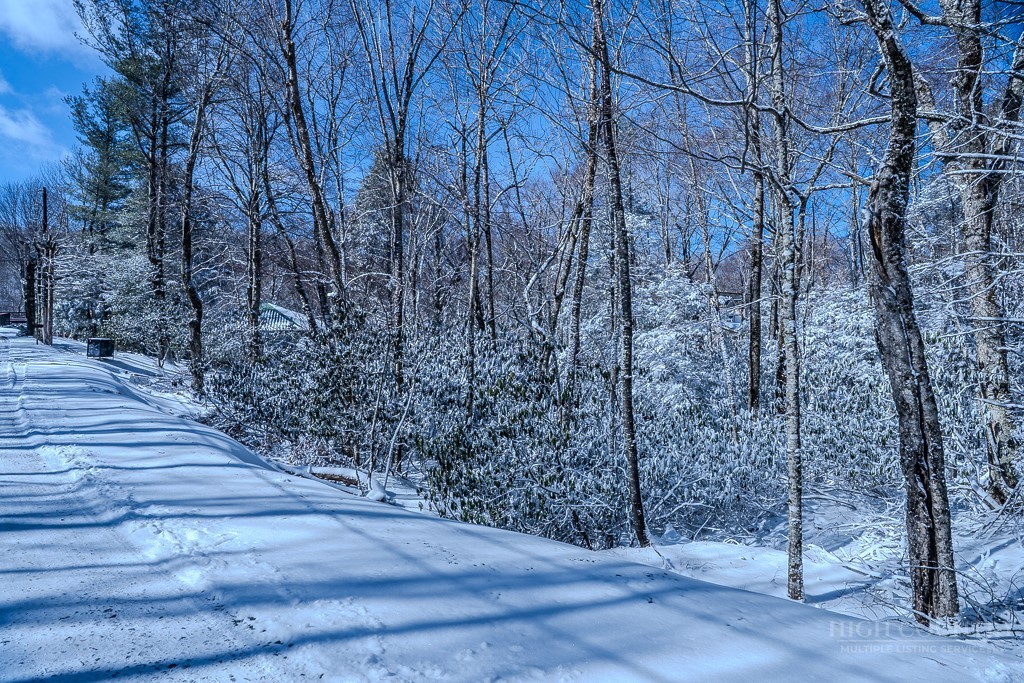252 Greenbriar Road Beech Mountain, NC 28604 - Photo 10 of 17