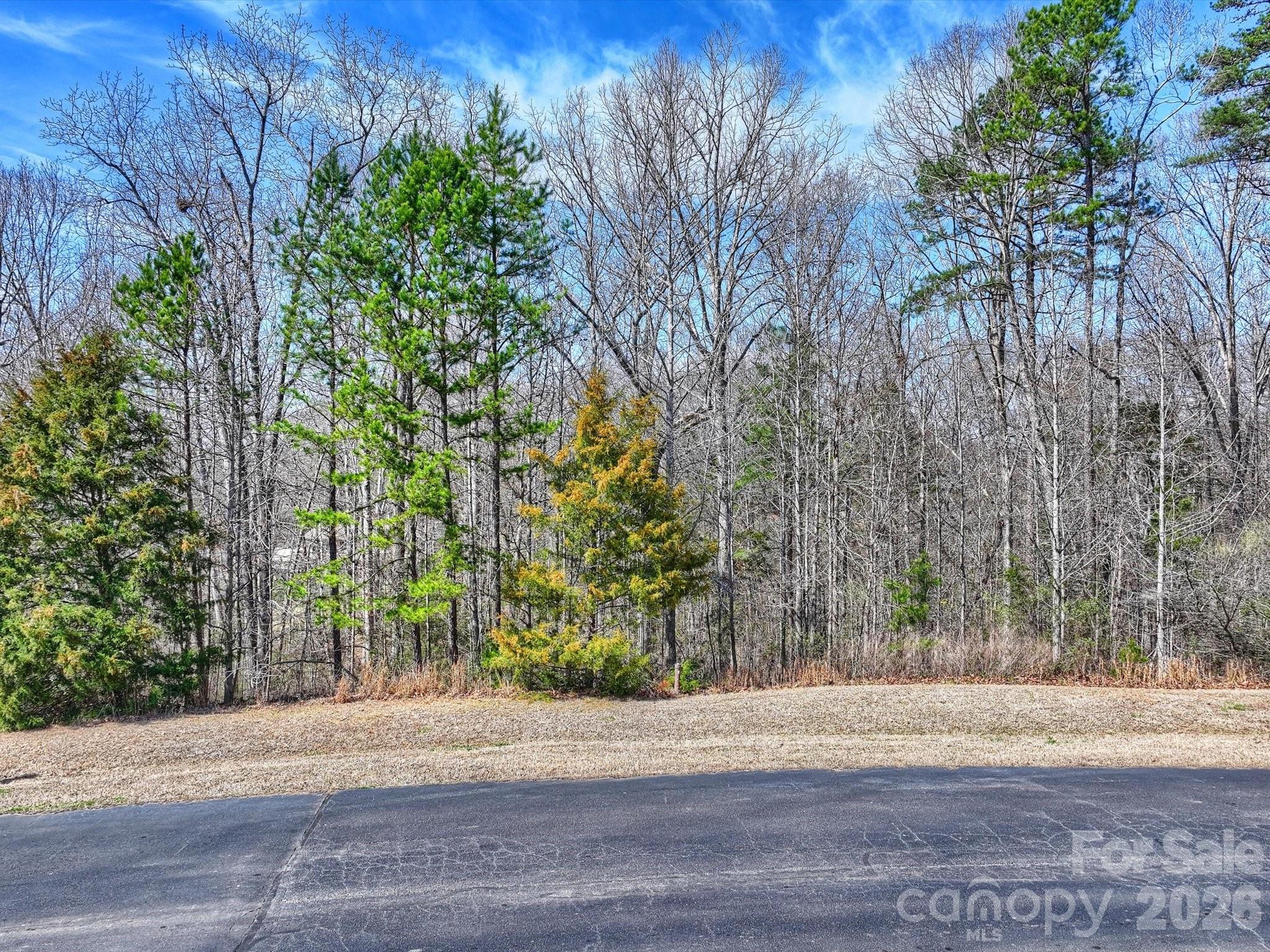 7316 Barrington Ridge Drive, Unit 14 Fort Mill, SC 29707 - Photo 3 of 10 a street view with large trees