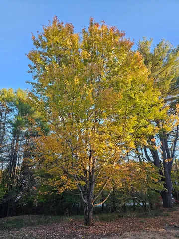 $92,000 | 35 Hackett Road, Winterport, ME 04496