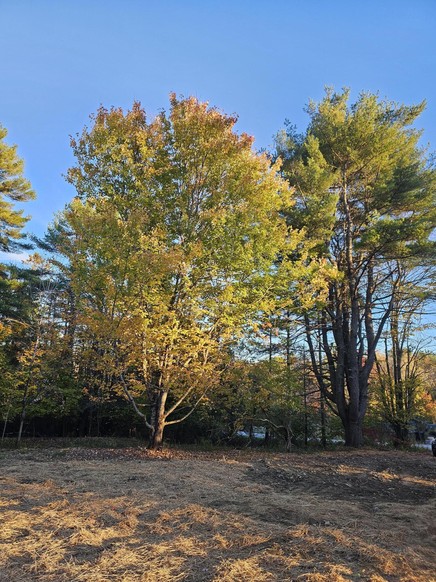 35 Hackett Road Winterport, ME 04496 - Photo 16 of 20 Mature Autumn Trees