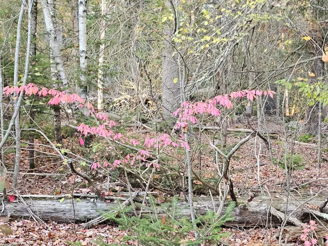 $92,000 | 35 Hackett Road, Winterport, ME 04496