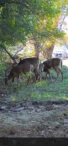 $92,000 | 35 Hackett Road, Winterport, ME 04496