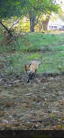 $92,000 | 35 Hackett Road, Winterport, ME 04496