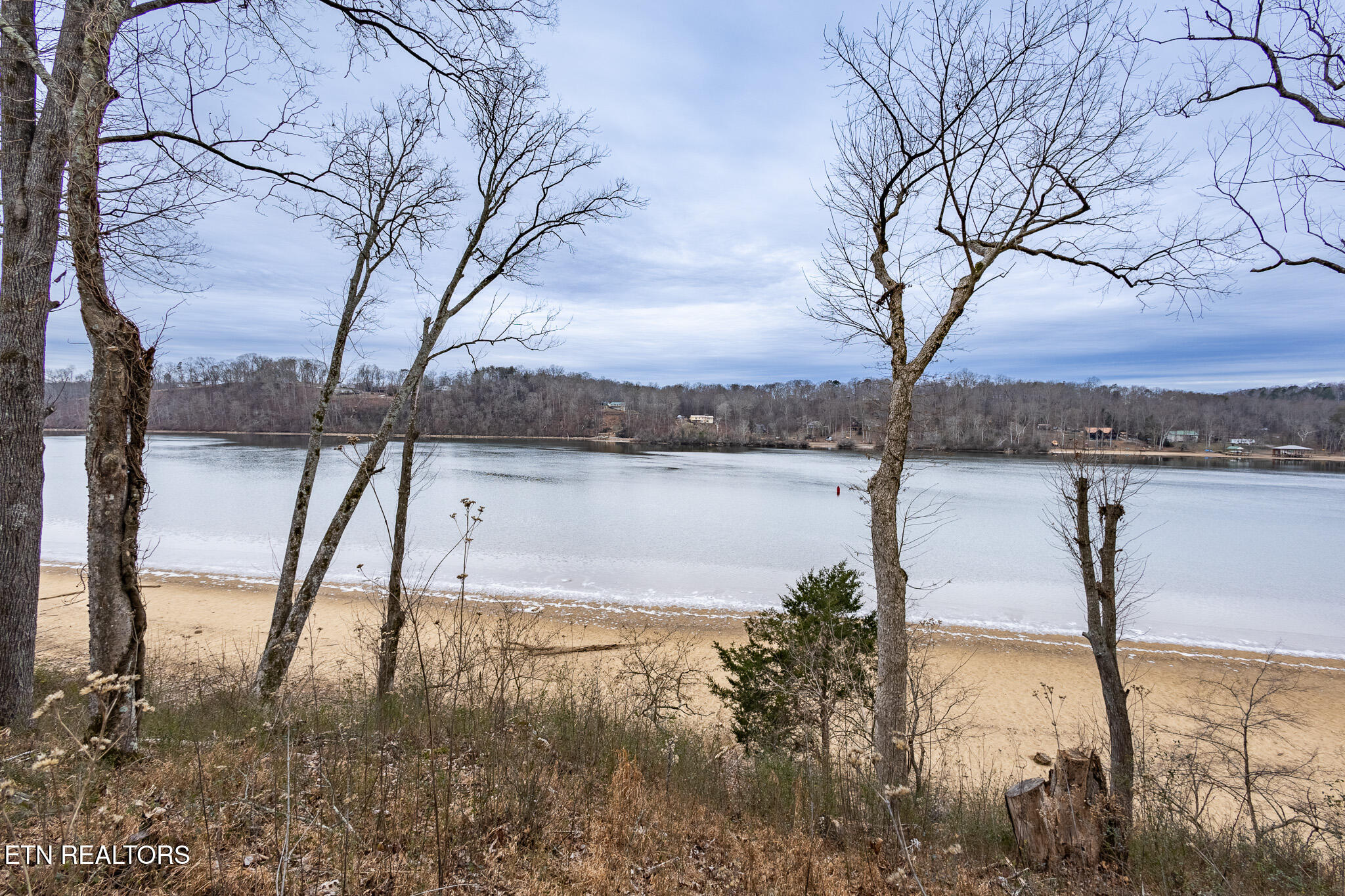 1789 Mockingbird Lane Loudon, TN 37774 - Photo 12 of 14 View from the Shore