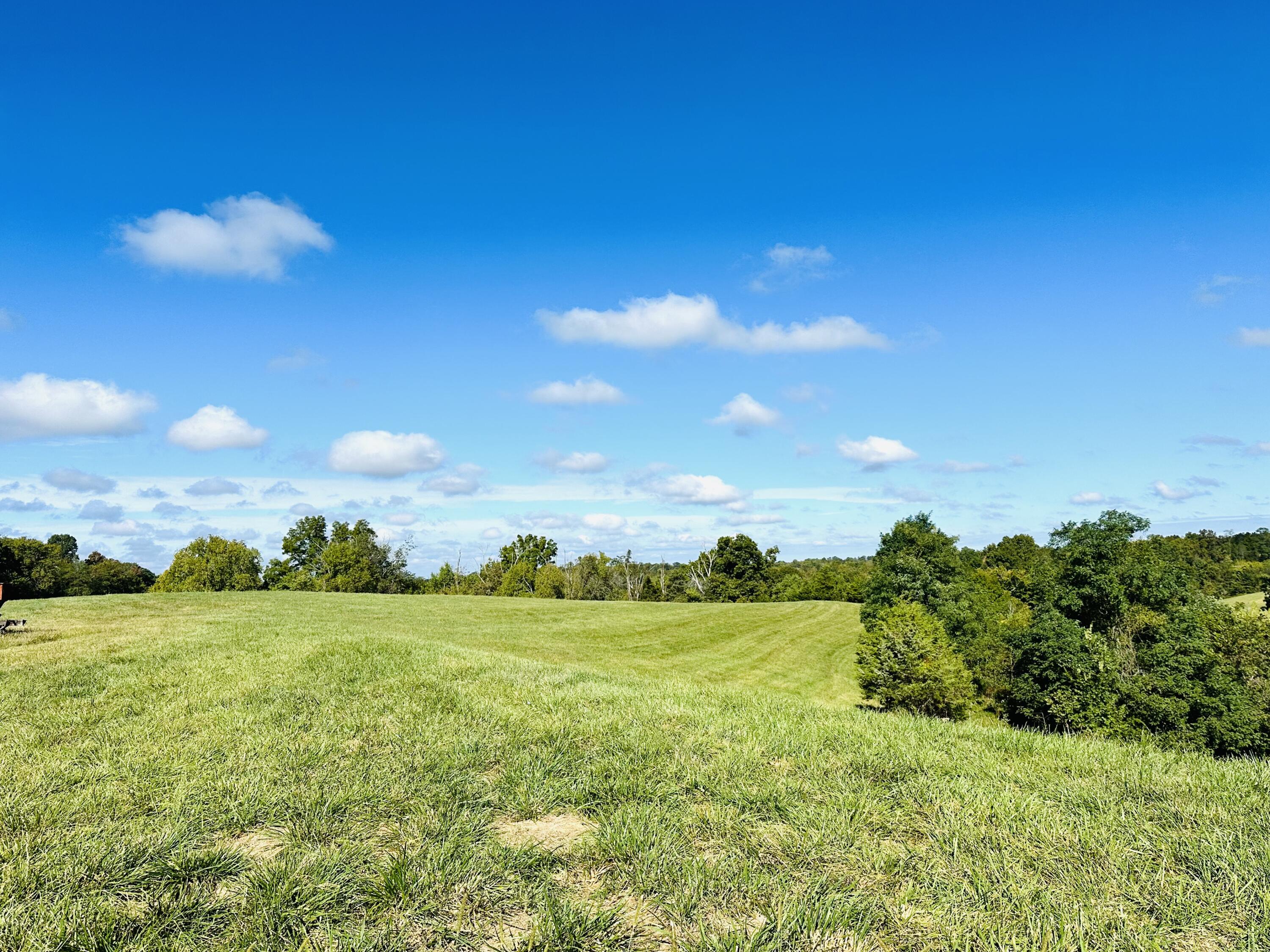 203 Chaplin Road Willisburg, KY 40078 - Photo 35 of 77 IMG_8190