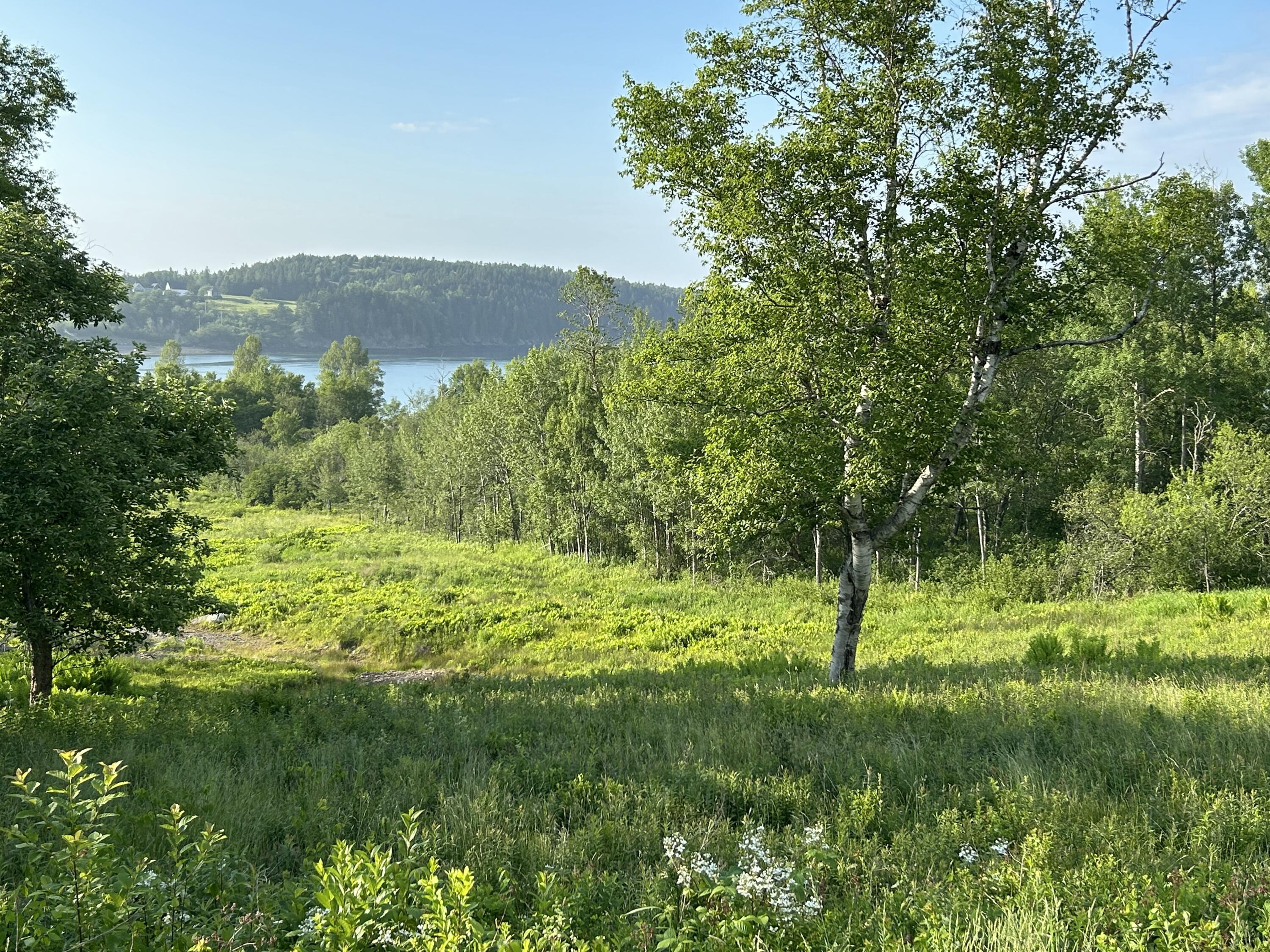 27 Redoubt Hill Road Eastport, ME 04631 - Photo 2 of 6 Water View