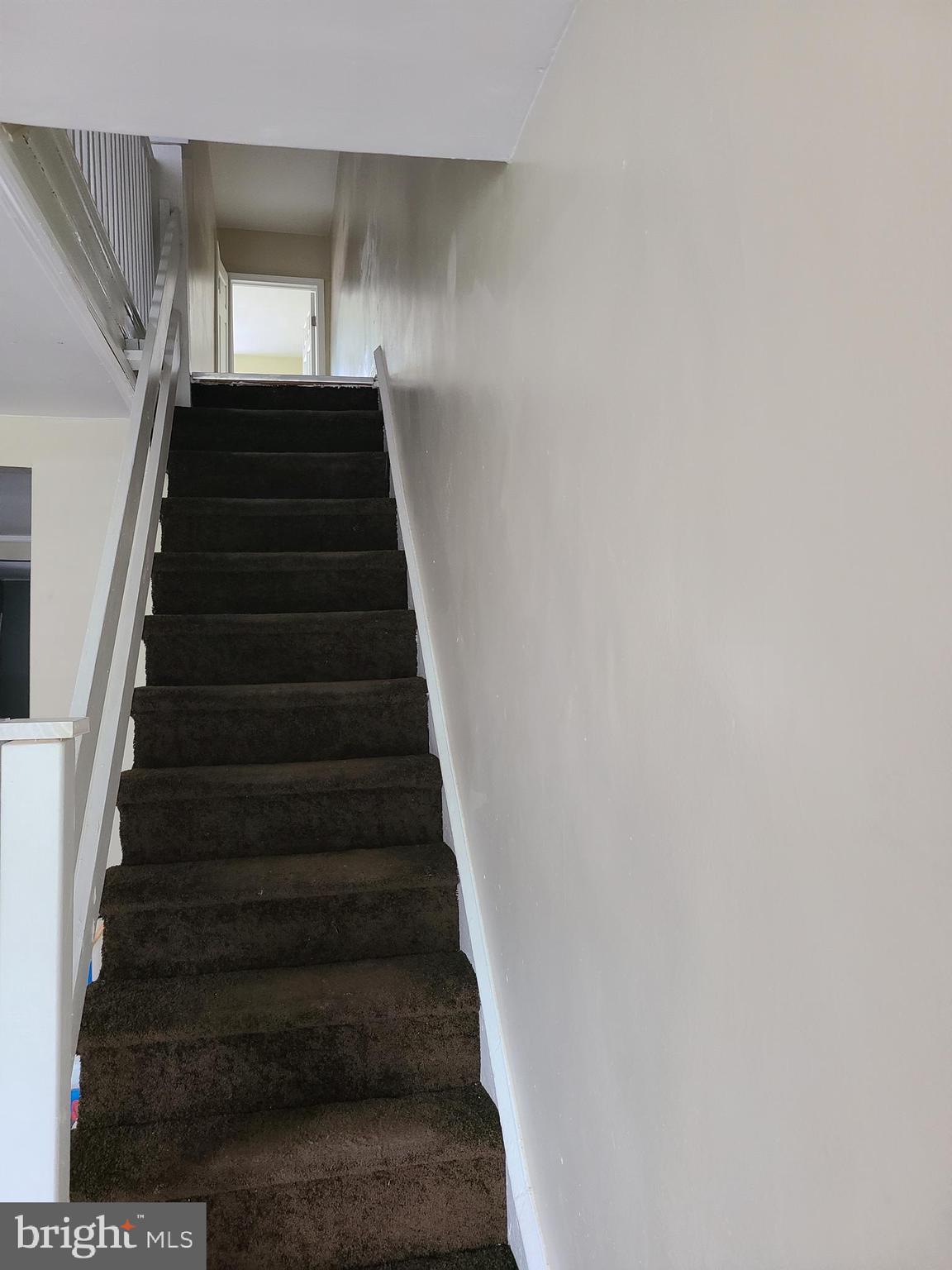 256 Sanford Road Upper Darby, PA 19082 - Photo 31 of 84