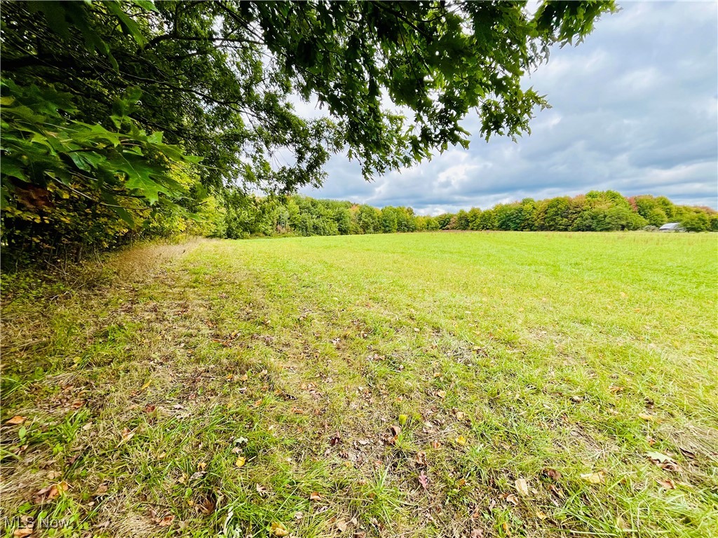 2687 Griggs Road Jefferson, OH 44047 - Photo 36 of 41 View of yard