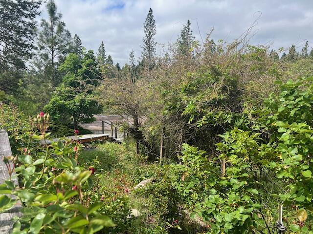 4196 East Evans Creek Road Rogue River, OR 97537 - Photo 26 of 36 a backyard of a house with lots of green space and trees all around