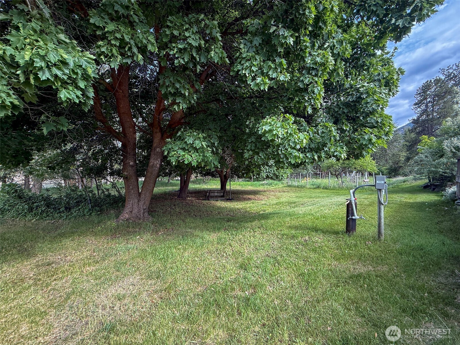 518 Bridge Street Twisp, WA 98856 - Photo 38 of 40 a garden with trees in the background