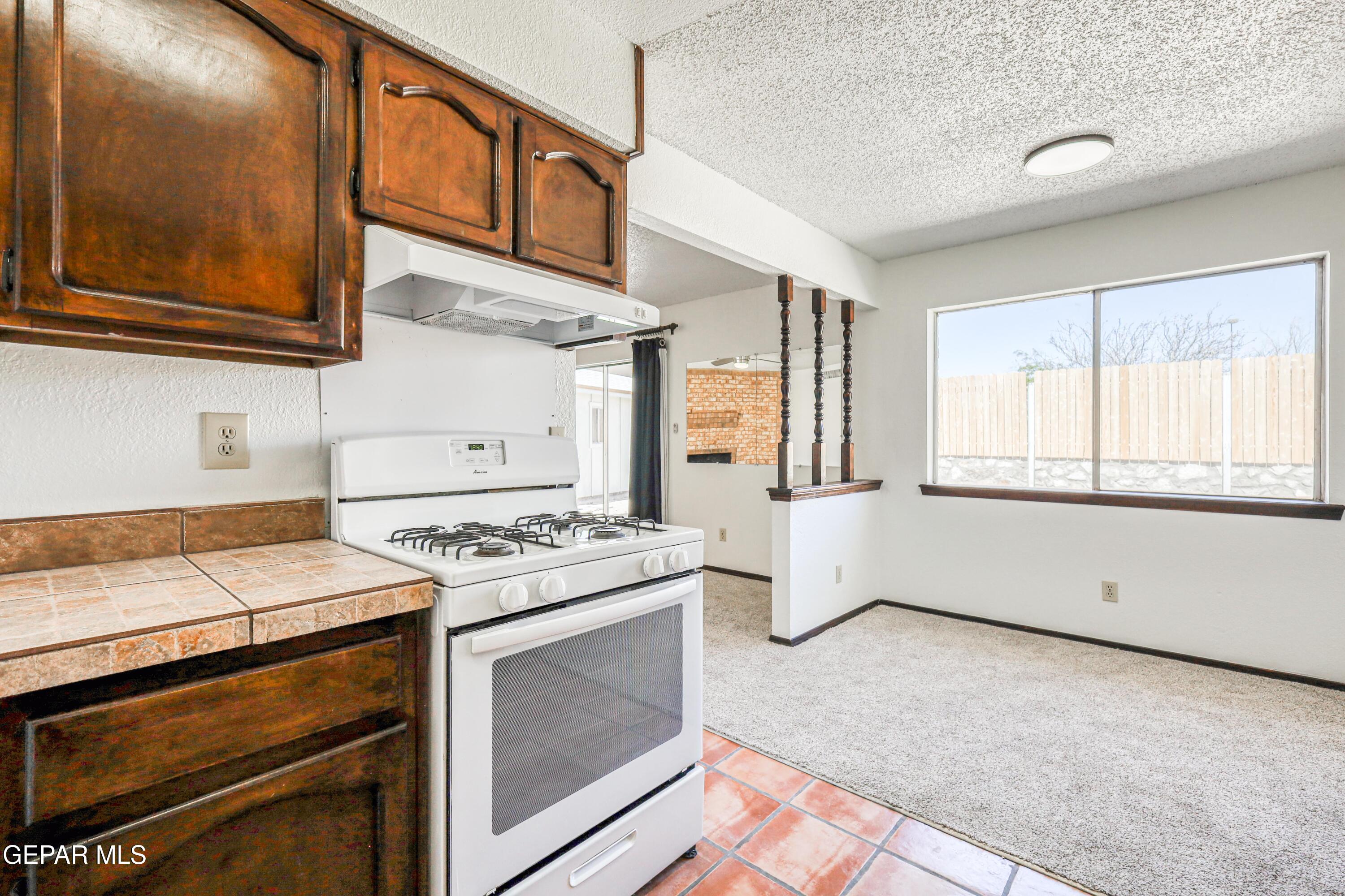 321 Gus Rallis Drive El Paso, TX 79932 - Photo 10 of 38 IMG_8396_HDR