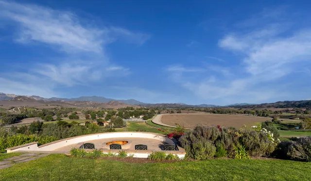 a view of a bunch of flowers
