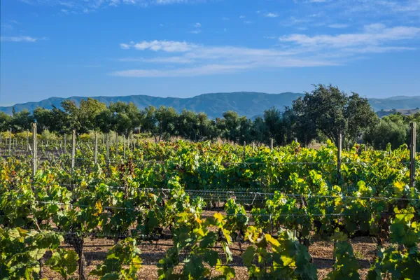 $6,795,000 | 5445 Baseline Avenue, Santa Ynez, CA 93460
