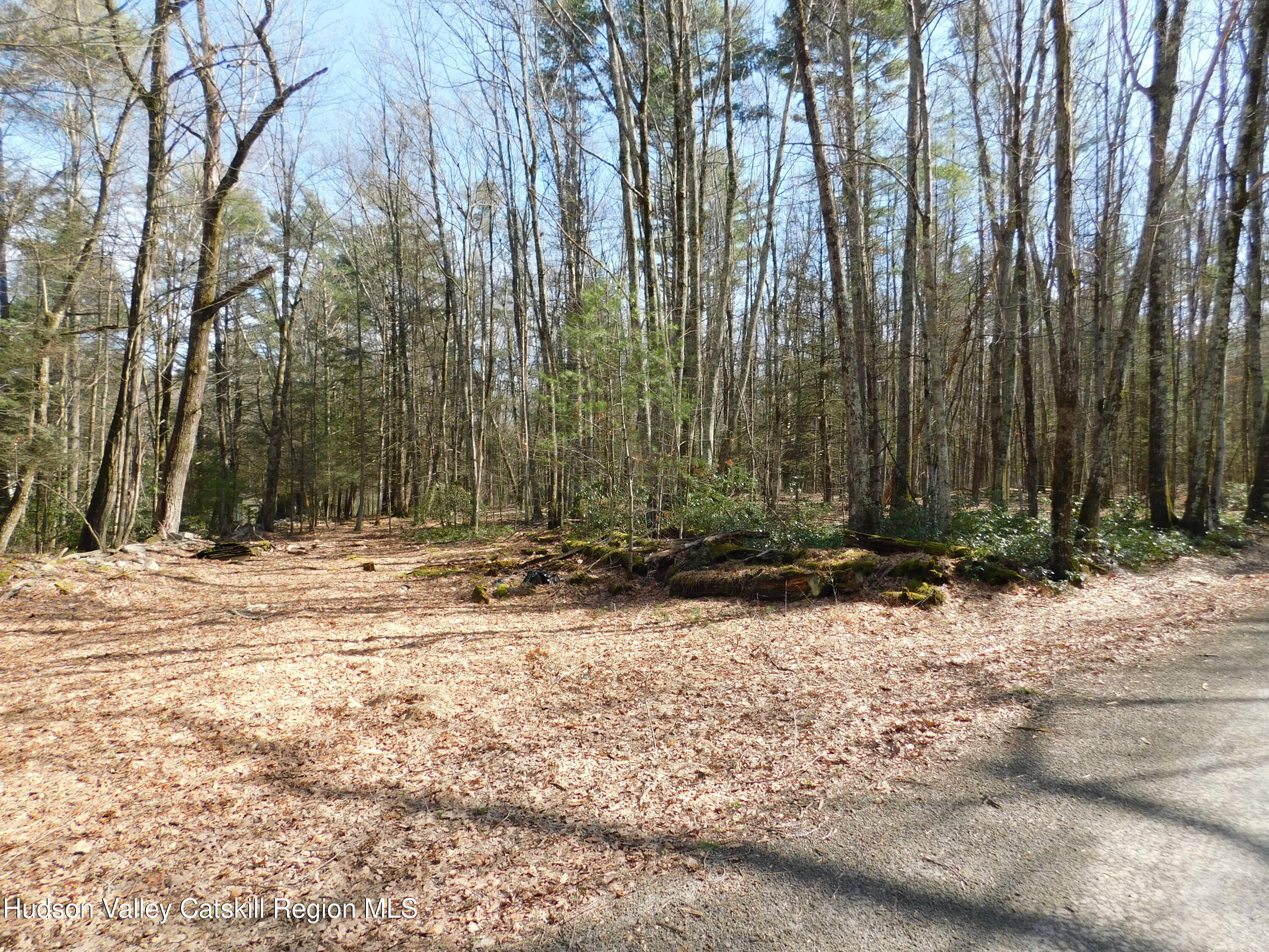 Tbd Wright Road Kerhonkson, NY 12446 - Photo 8 of 19 DSCN5461