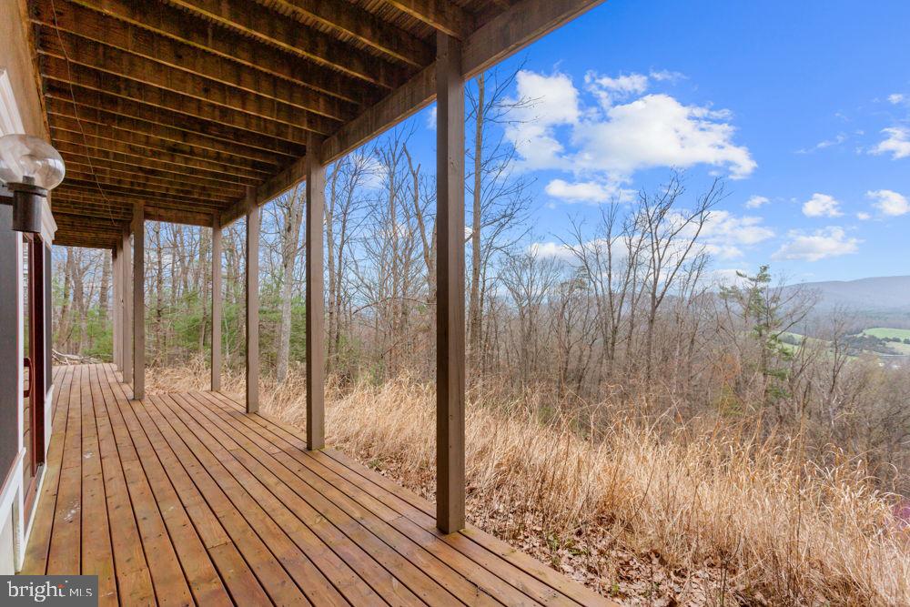 9586 Brunk Spring Lane Broadway, VA 22815 - Photo 49 of 57 a view of backyard with cabin