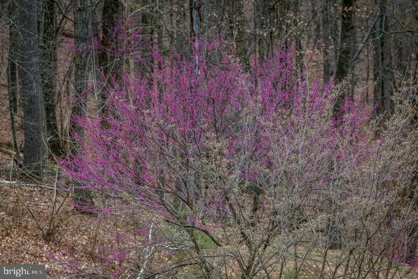 $799,000 | 9586 Brunk Spring Lane, Broadway, VA 22815