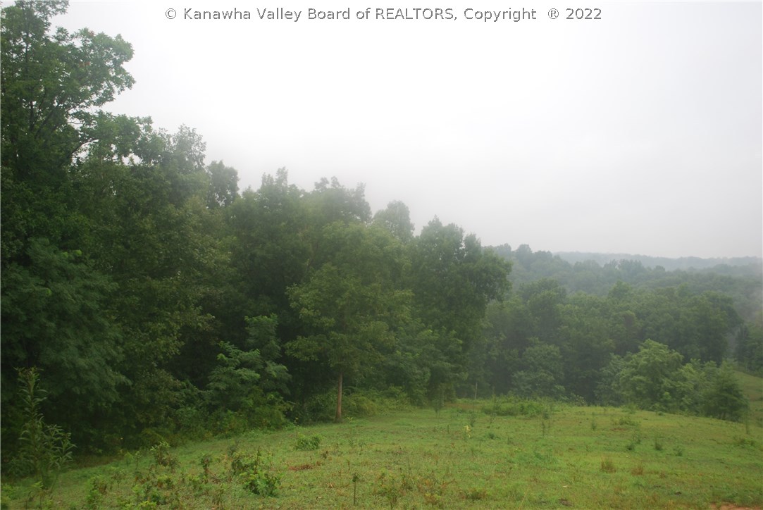 0 Jeffers Ridge Road Southside, WV 25187 - Photo 4 of 6 Gallery Image 4