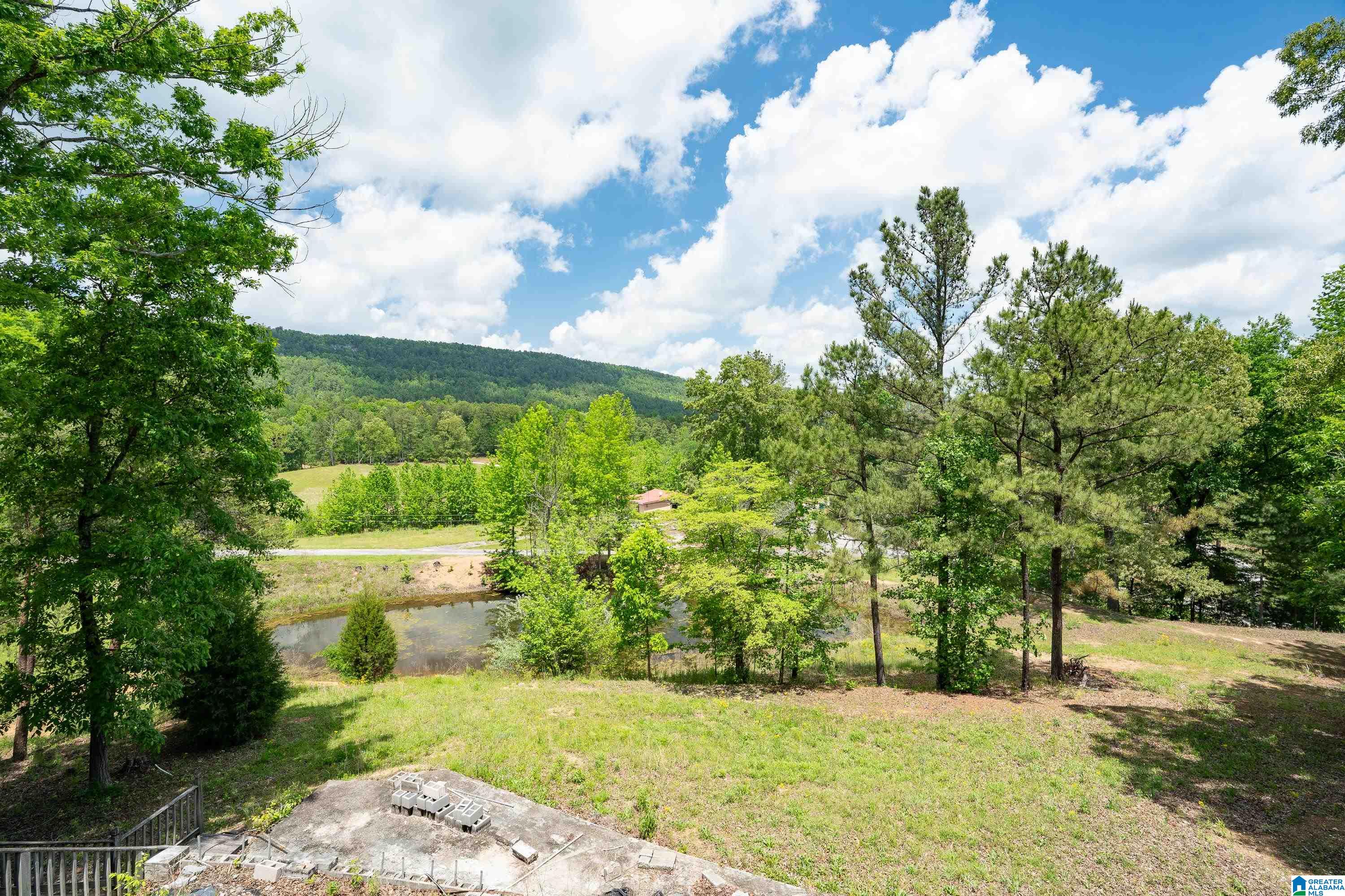 297 Cain Road Chelsea, AL 35043 - Photo 5 of 33