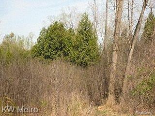 Lot 45 Parview Clarkston, MI 48346 - Photo 2 of 2 Lot View