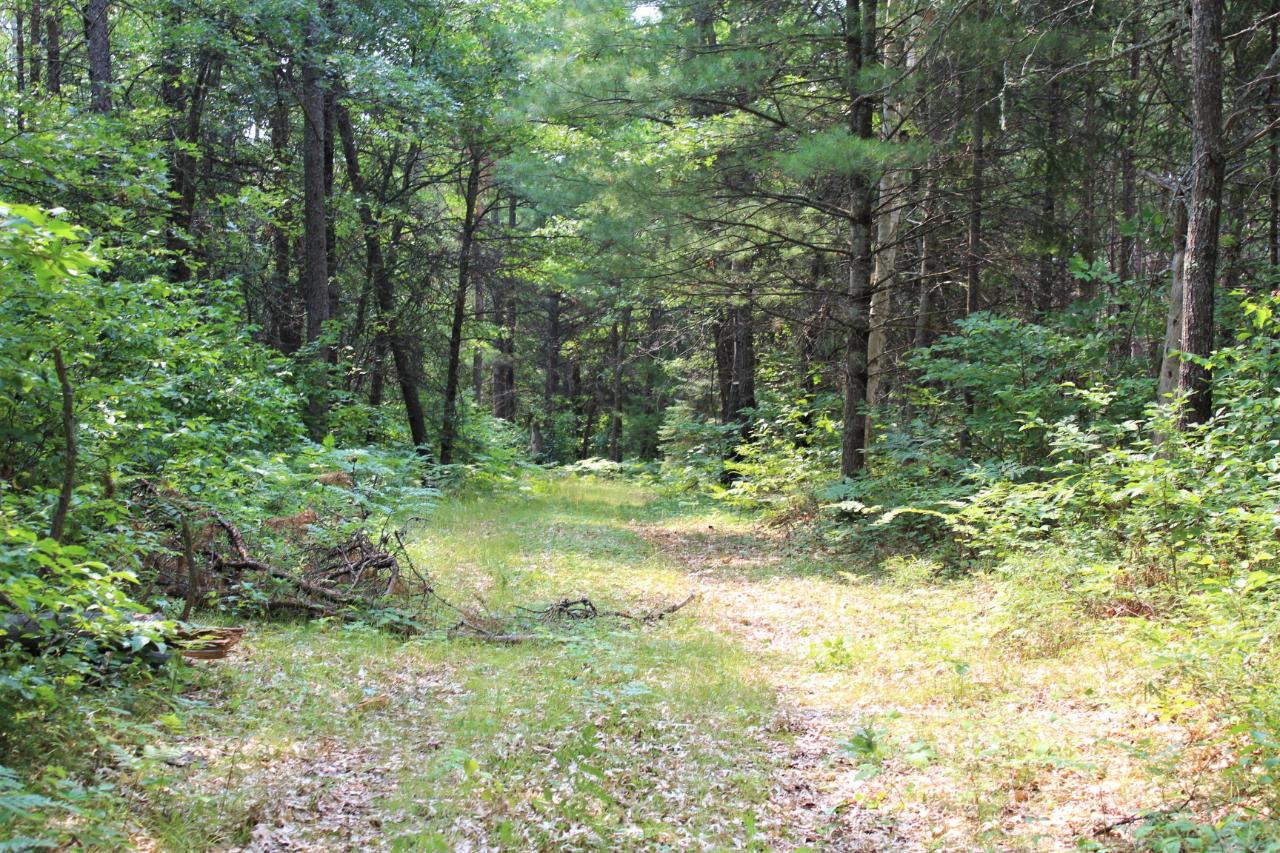 9974 Abe Road Tomahawk, WI 54487 - Photo 50 of 61 Gallery Image 50