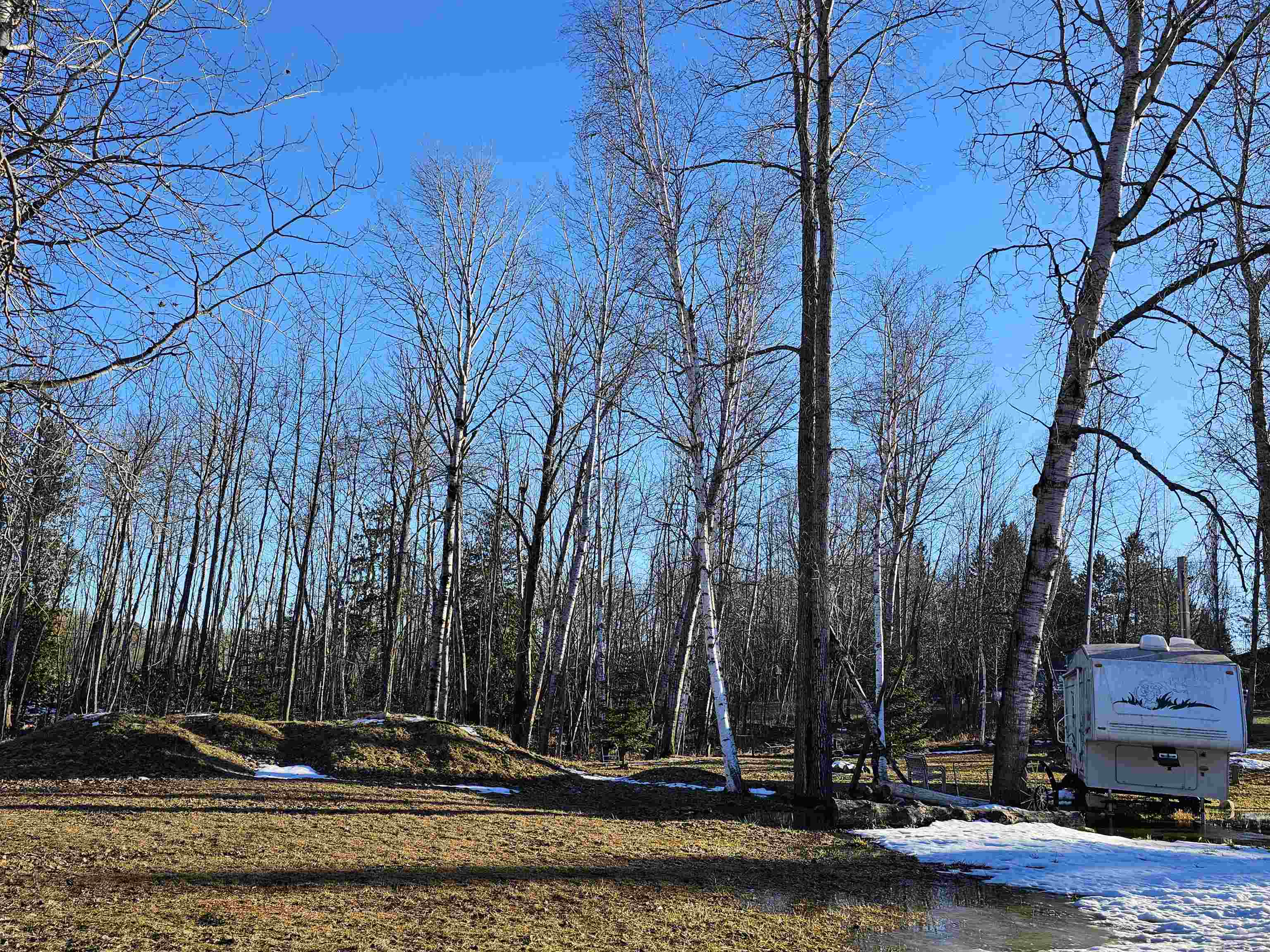 5 5 Mile Road Hale, MI 48739 - Photo 1 of 8