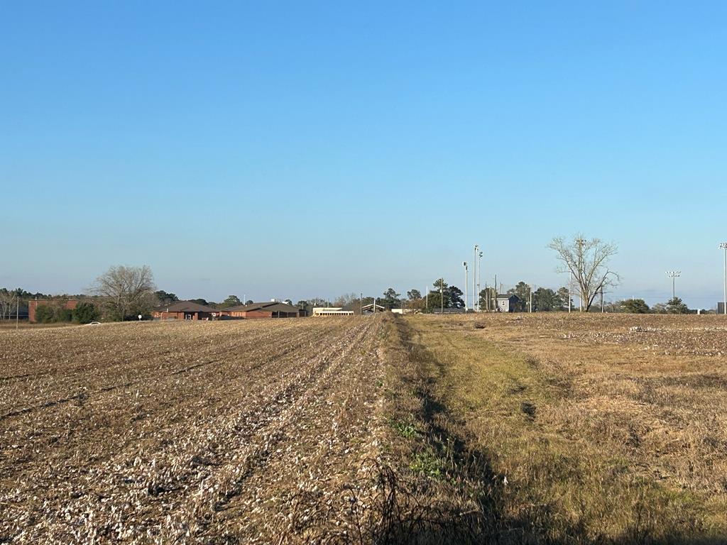 51.8-ac Hadden Road Dothan, AL 36301 - Photo 38 of 43