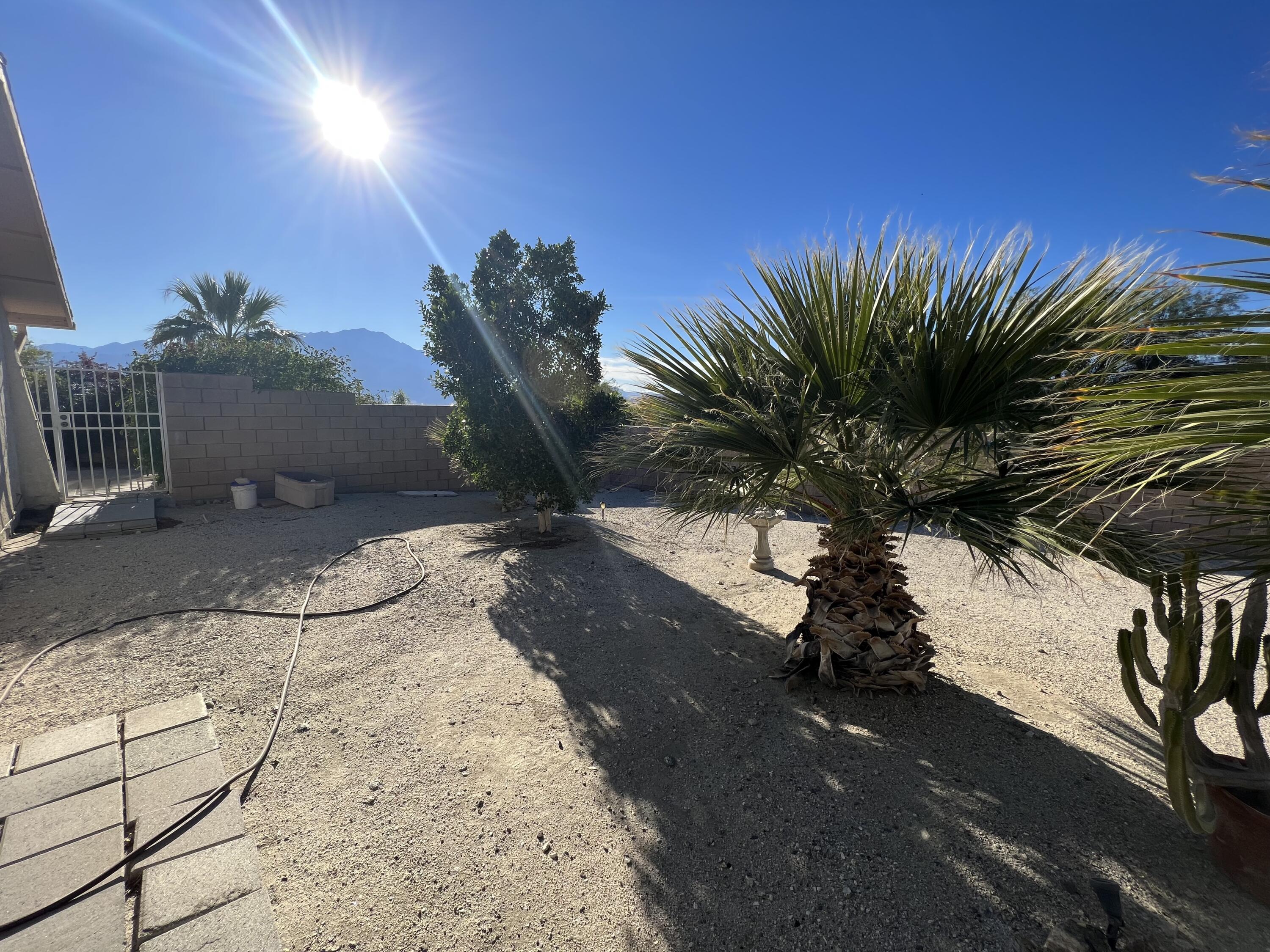 9551 Santa Cruz Road Desert Hot Springs, CA 92240 - Photo 8 of 19 Side Yard 2/Street side (Avenida Barona)