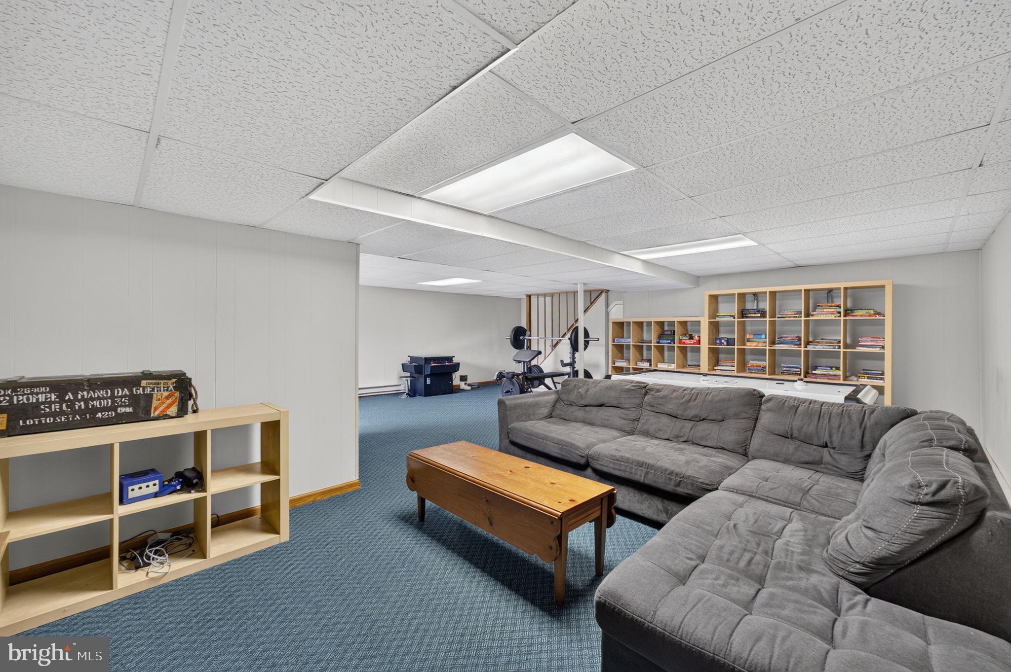 20210 Bent Willow Road Rohrersville, MD 21779 - Photo 62 of 98 Spacious basement retreat for leisure.