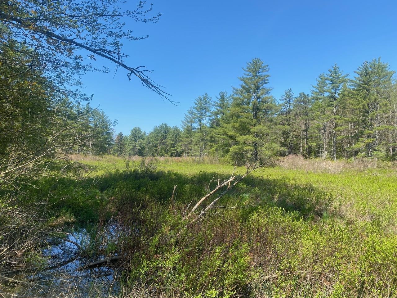 22 Clough Road Effingham, NH 03882 - Photo 22 of 26