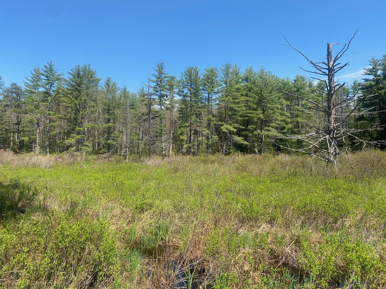 22 Clough Road Effingham, NH 03882 - Photo 23 of 26