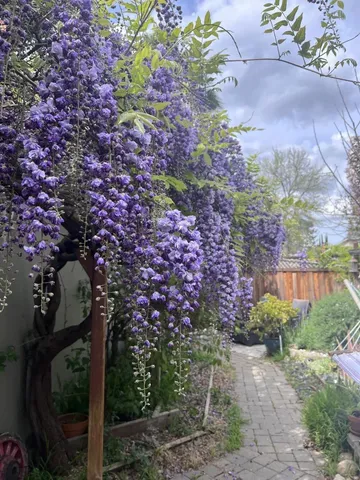 $1,799,000 | 1660 Tawnygate Way, San Jose, CA 95124