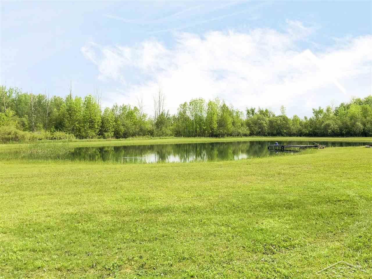 5215 Lewis Road Beaverton, MI 48612 - Photo 3 of 15 Pond