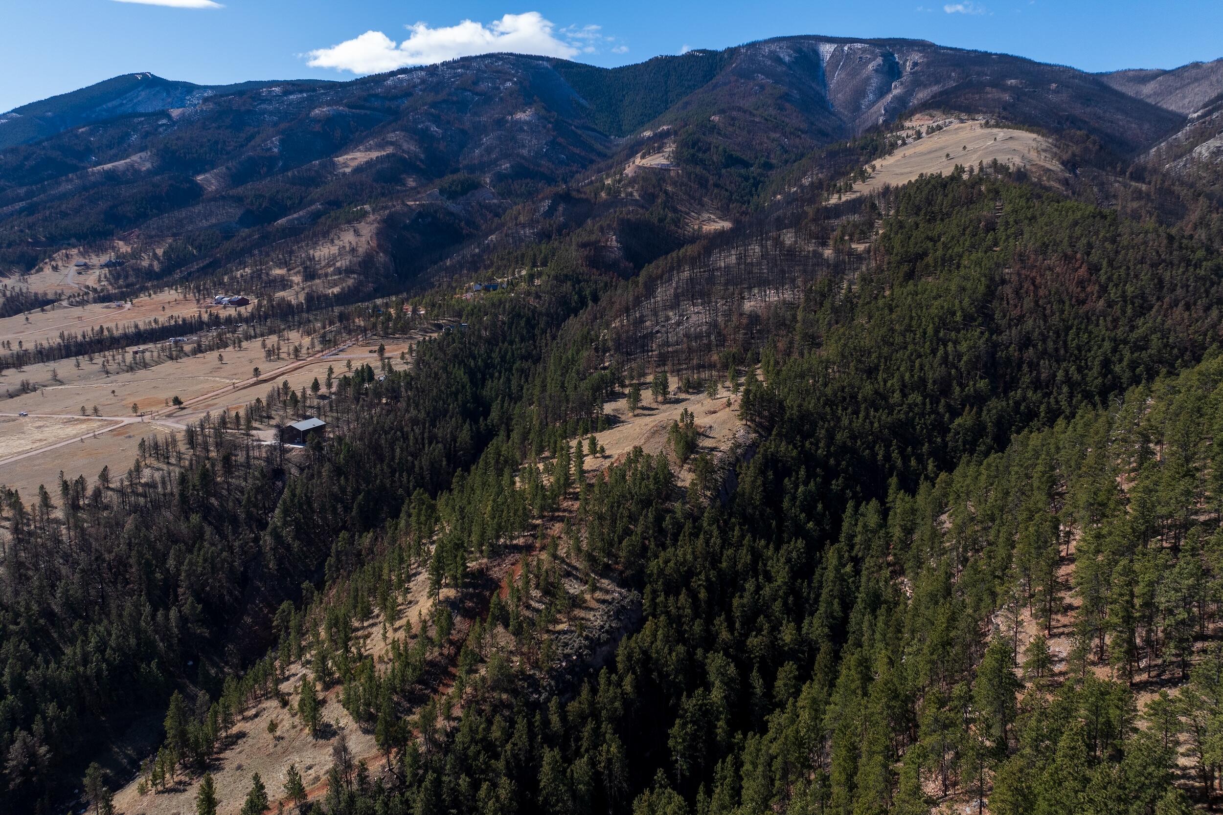 161 Horseshoe Road Dayton, WY 82836 - Photo 33 of 36 33