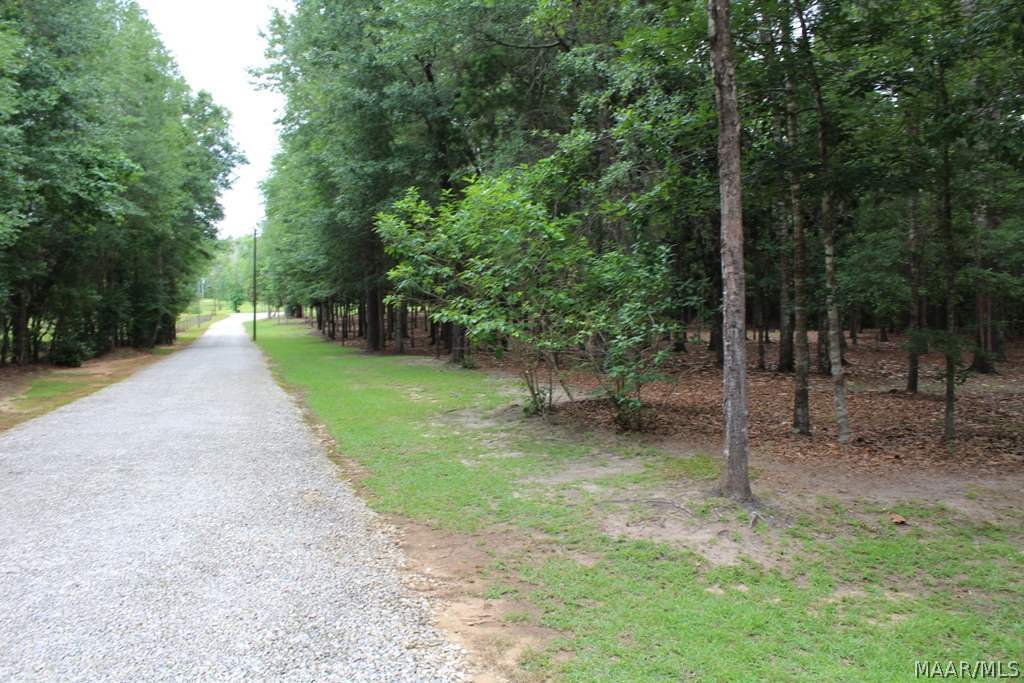 896 Doe Run Road Newton, AL 36352 - Photo 33 of 36 Gallery Image 33