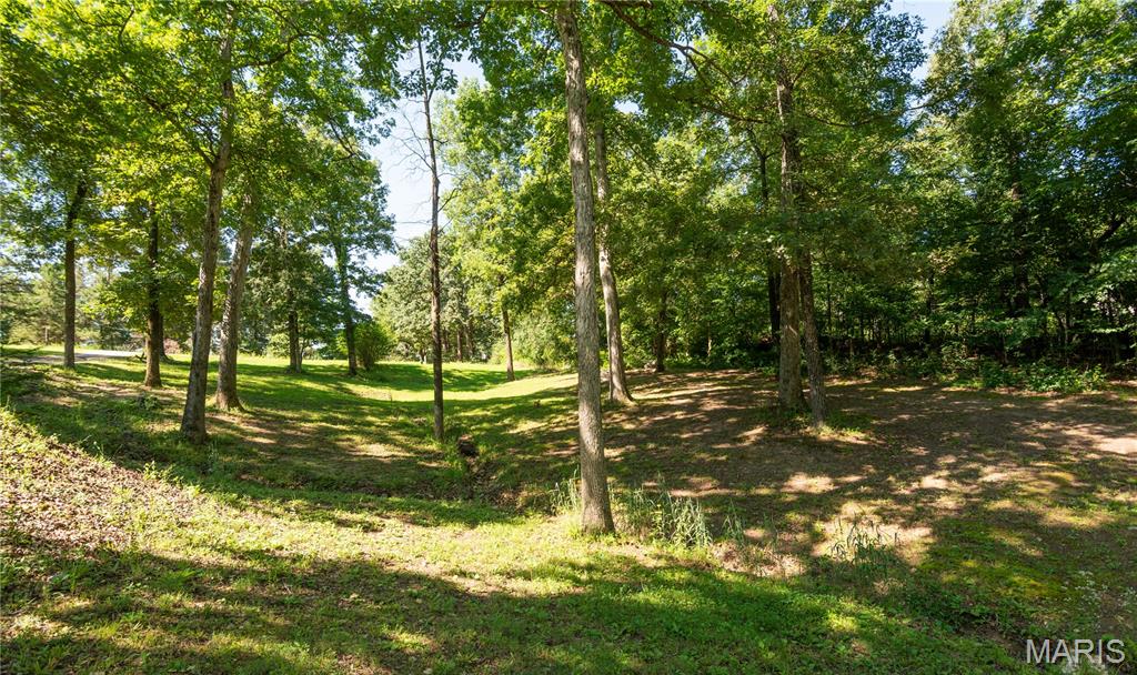 2227 Audubon Road Poplar Bluff, MO 63901 - Photo 26 of 28