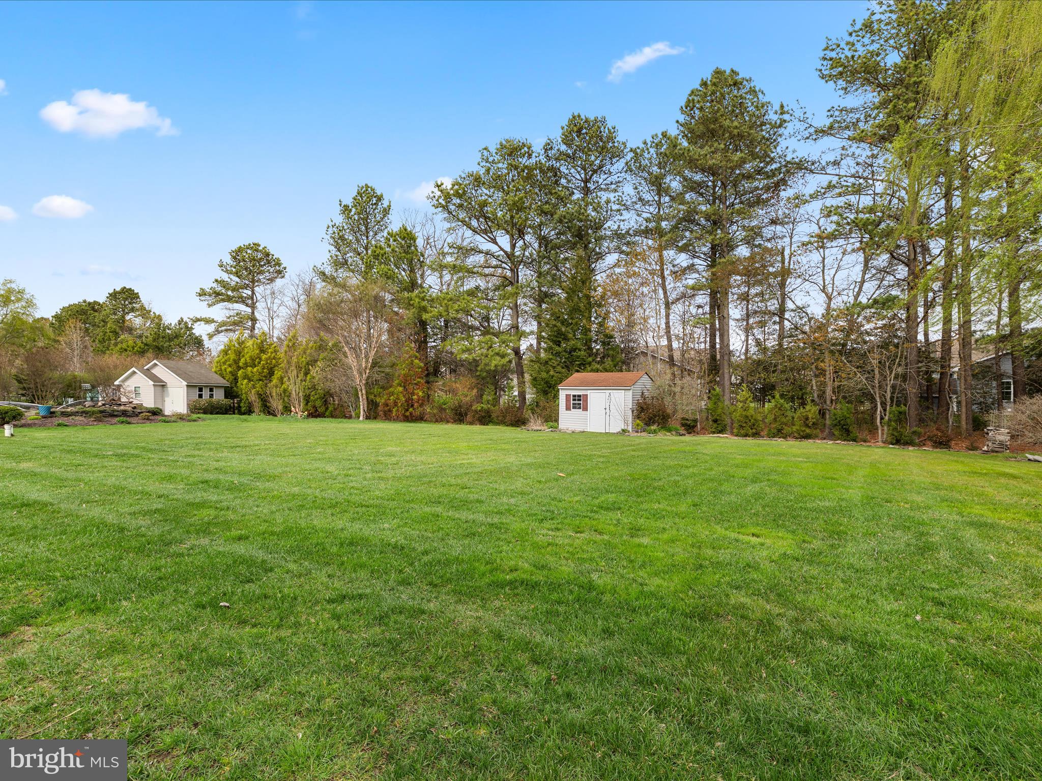 24818 Rivers Edge Road Millsboro, DE 19966 - Photo 4 of 42 Beautiful park-like back yard with mature trees