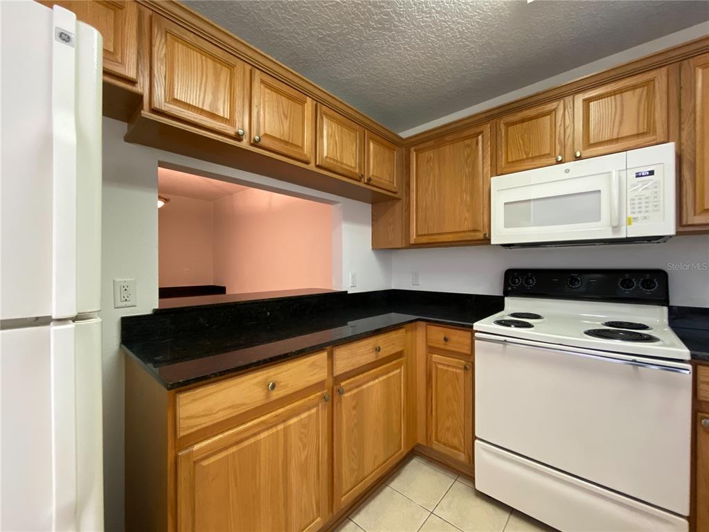 253 Castlekeeper Place Valrico, FL 33594 - Photo 9 of 18