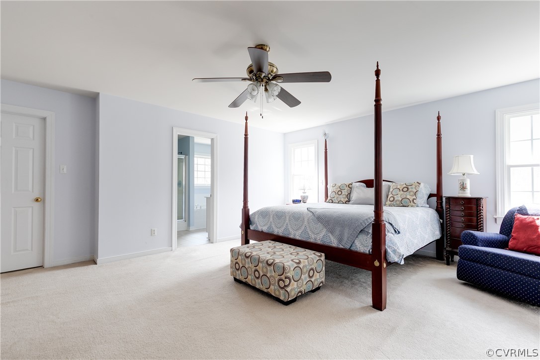 765 Snead Road Manakin-Sabot, VA 23103 - Photo 22 of 46 Wall-to-wall carpet and walk-in closet with window
