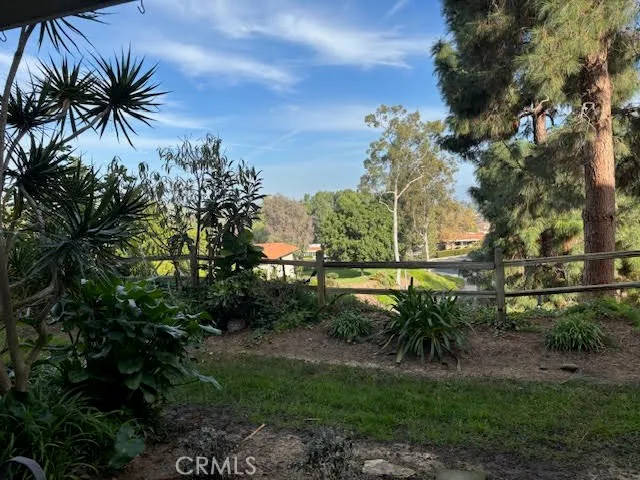 a view of a yard and entertaining space