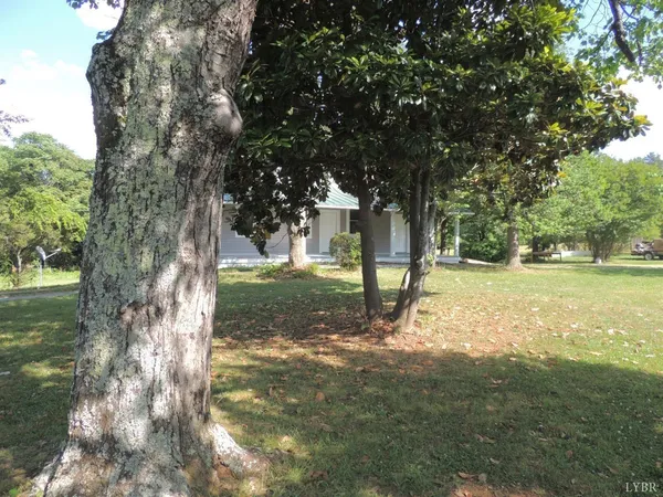 a view of backyard with a garden and trees