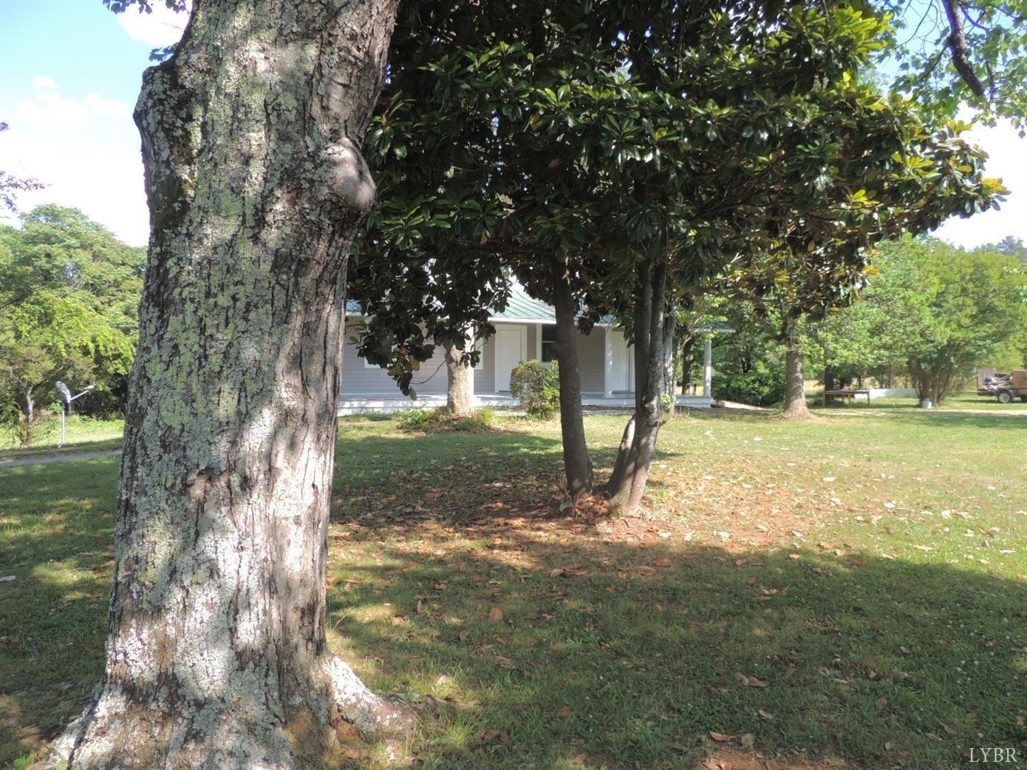 7007 Wards Road Rustburg, VA 24588 - Photo 8 of 26 a view of a tree in a yard