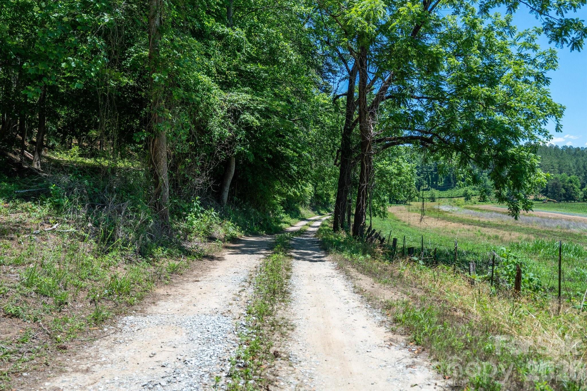 99999 Thompson Lake Road Rutherfordton, NC 28139 - Photo 5 of 24