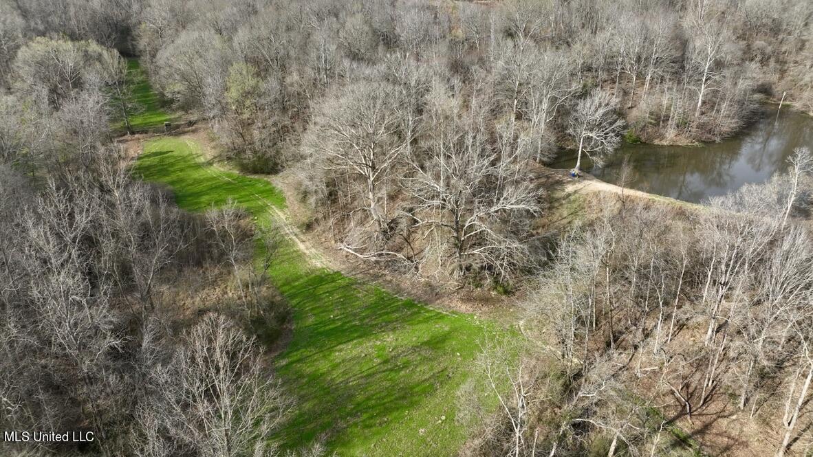162 Hebron Church Road Bentonia, MS 39040 - Photo 3 of 79 35D28E33-4B3E-46FC-909E-F30FF60D02A4_1_1