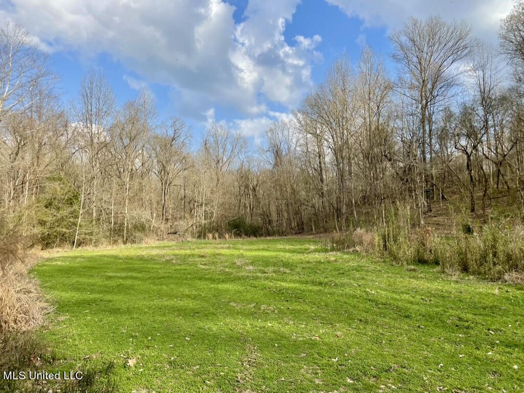 162 Hebron Church Road Bentonia, MS 39040 - Photo 55 of 79 DD917842-B5B1-42F6-9549-309E05295050_1_1