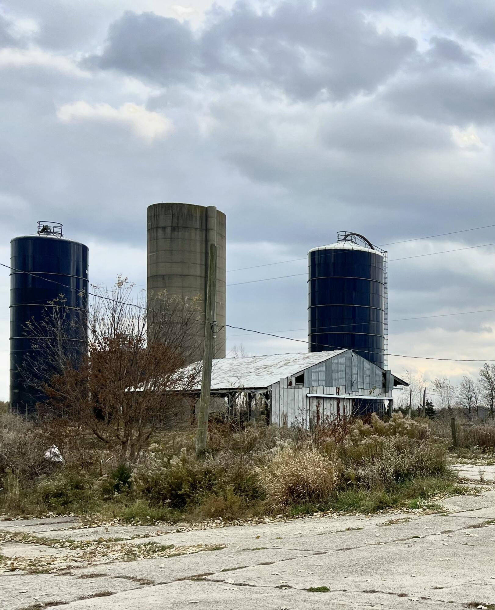 3240 Reading Road East Osseo, MI 49266 - Photo 15 of 42 BA2CC56A-A1F6-4E9F-AC8C-BF02AF47F661