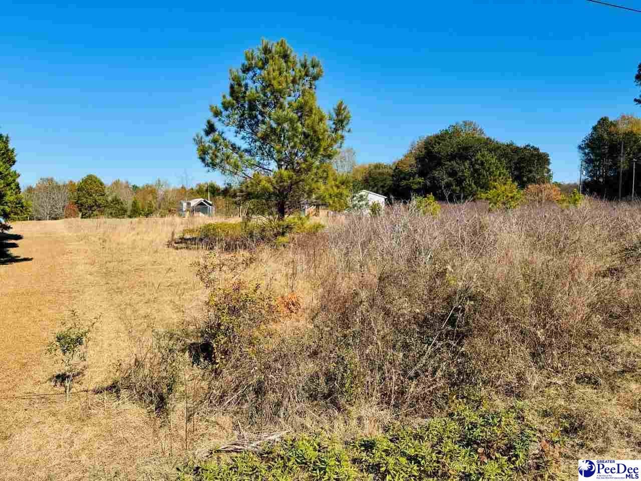 Beaver Dam Road Wallace, SC 29596 - Photo 2 of 8 Gallery Image 2